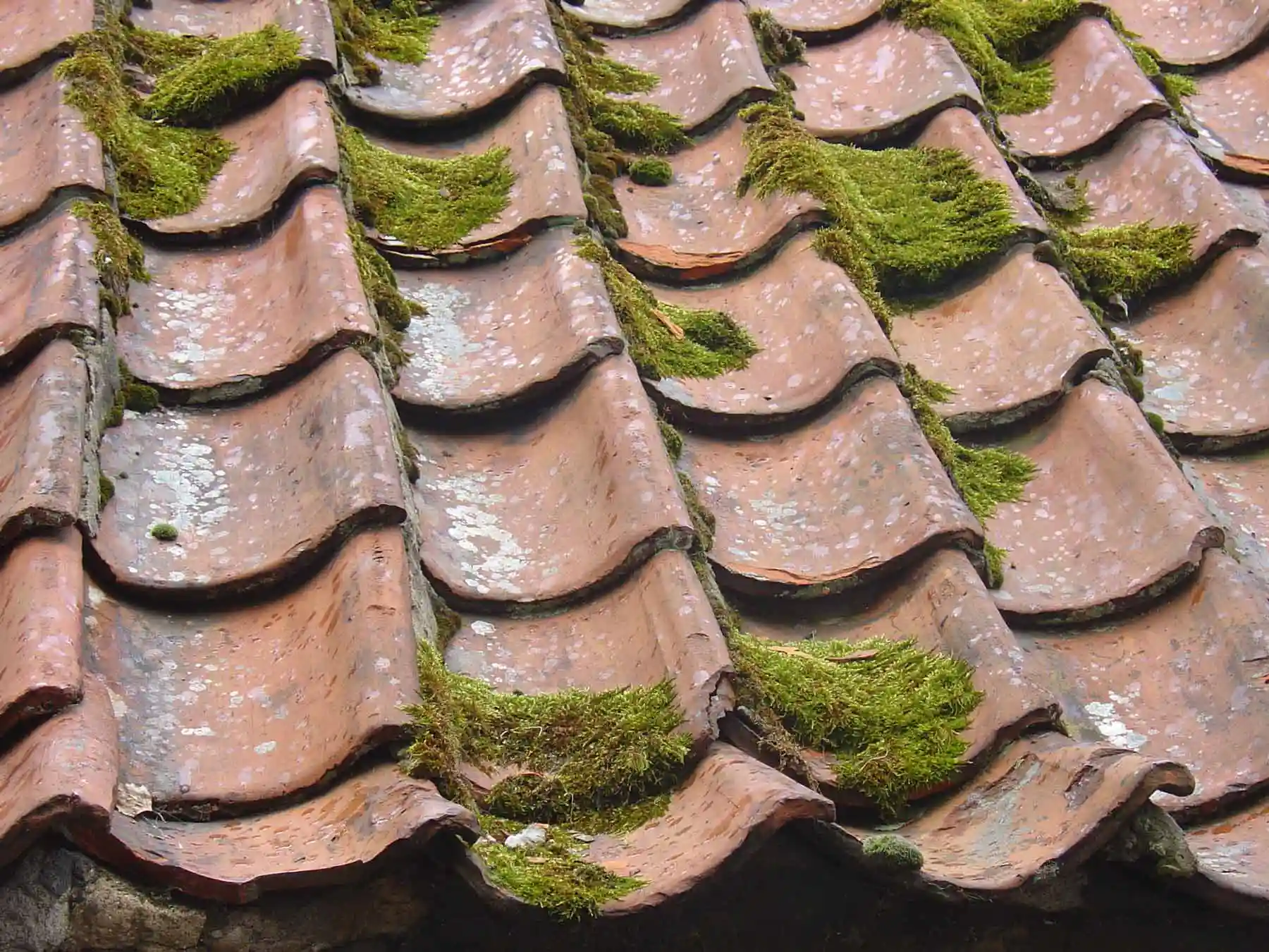 Dieser Sanierungsfall ist offensichtlich: In all den Jahren haben die schönen alten Dachpfannen Moos angesetzt
