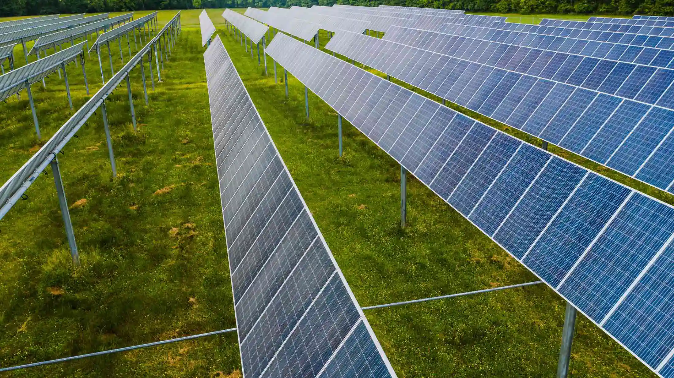 Photovoltaik: Welche Rolle wird die Sonnenenergie in Zukunft in unserem Alltag spielen?