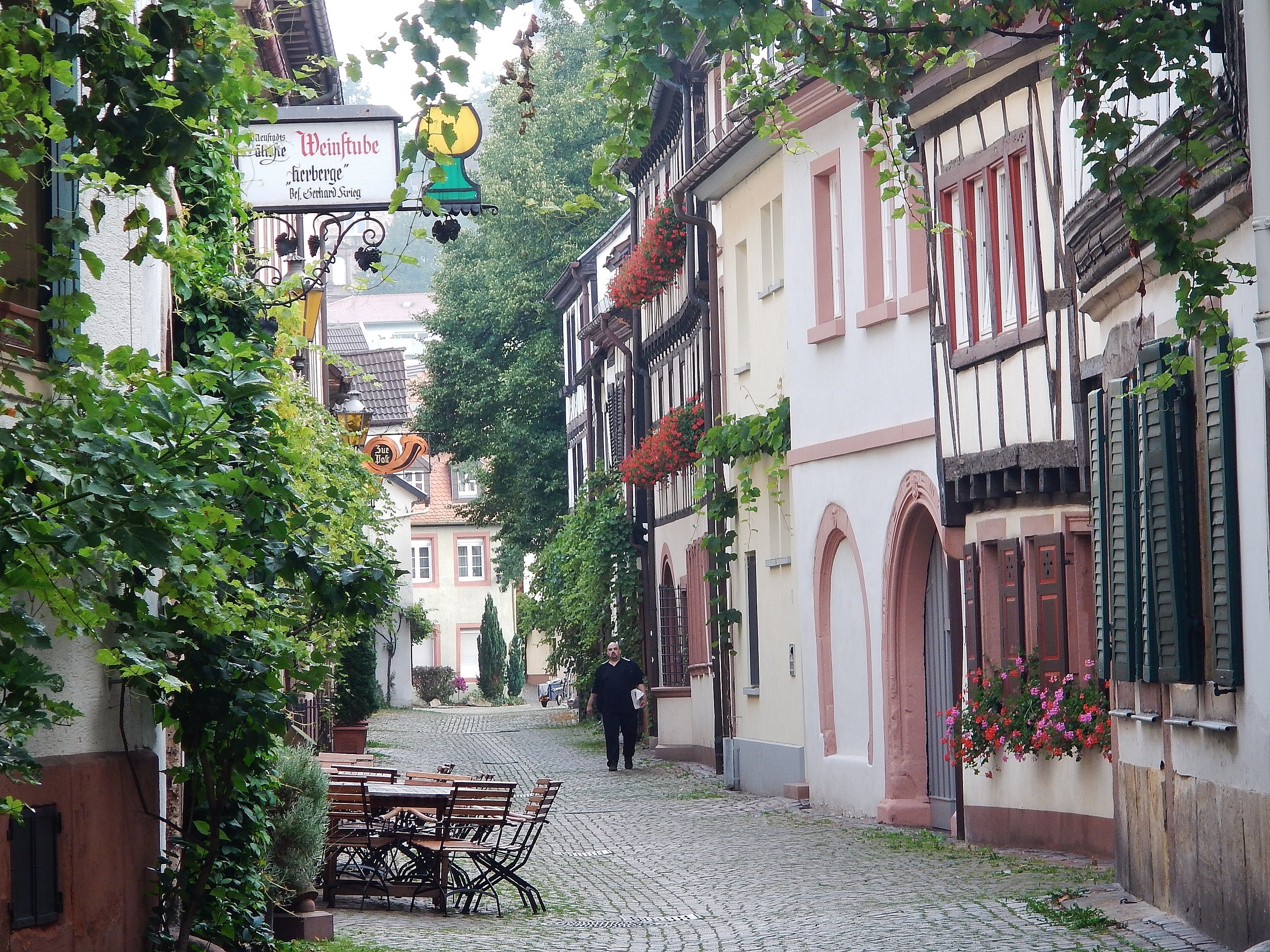 Altstadt von Neustadt an der Weinstraße