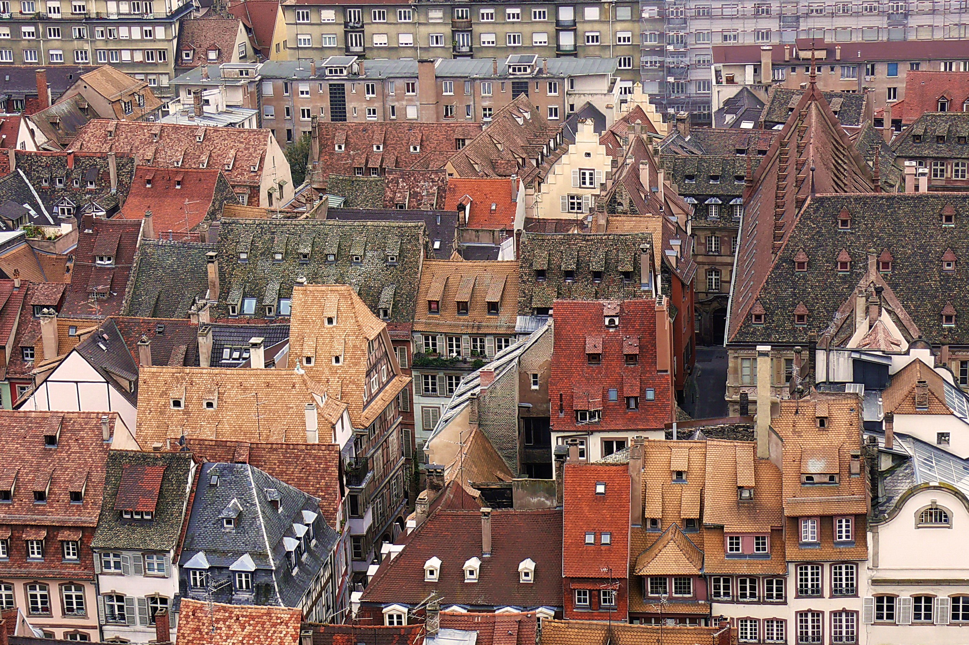 Dächer aus der Straßburger Altstadt aus der Vogelperspektive