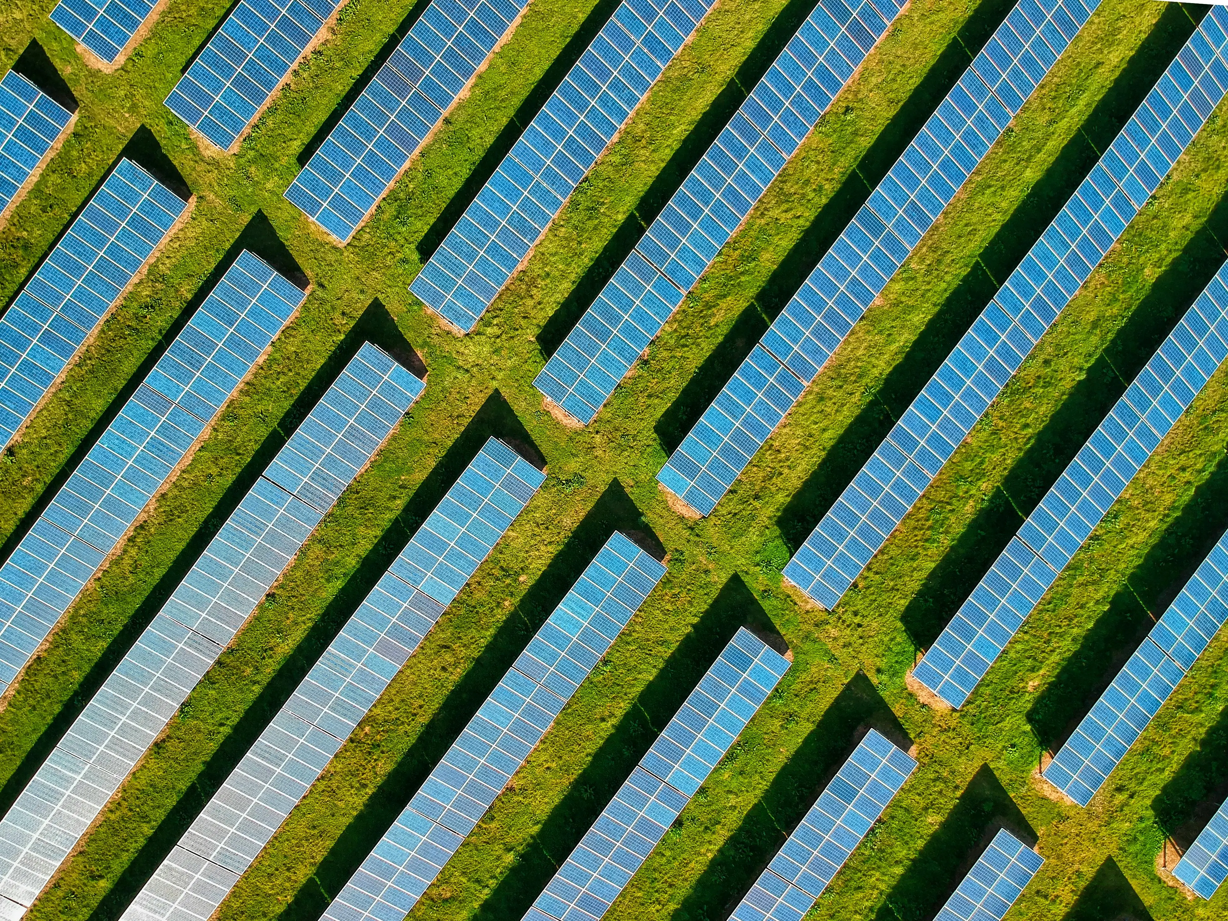 Solarfelder auf einer Wiese