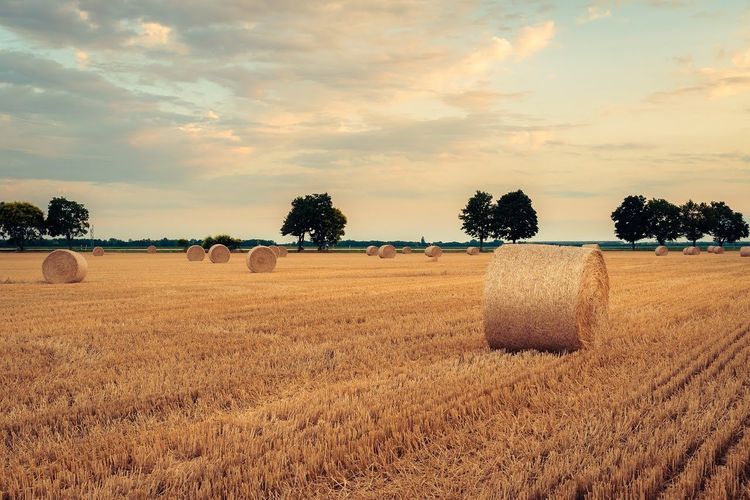 Ökologischer Fußabdruck: Definition und Faktoren | Autarq